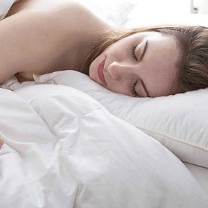 Set of 2 Bed Pillows Standard King Plush Down Alternative Pillows Cotton Cover